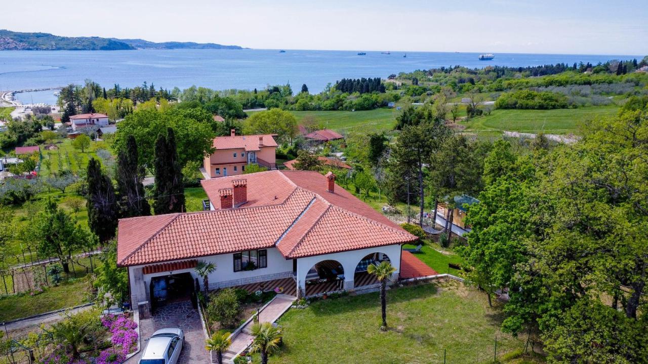 Active Chillax Oasis Apartments أنكاران المظهر الخارجي الصورة